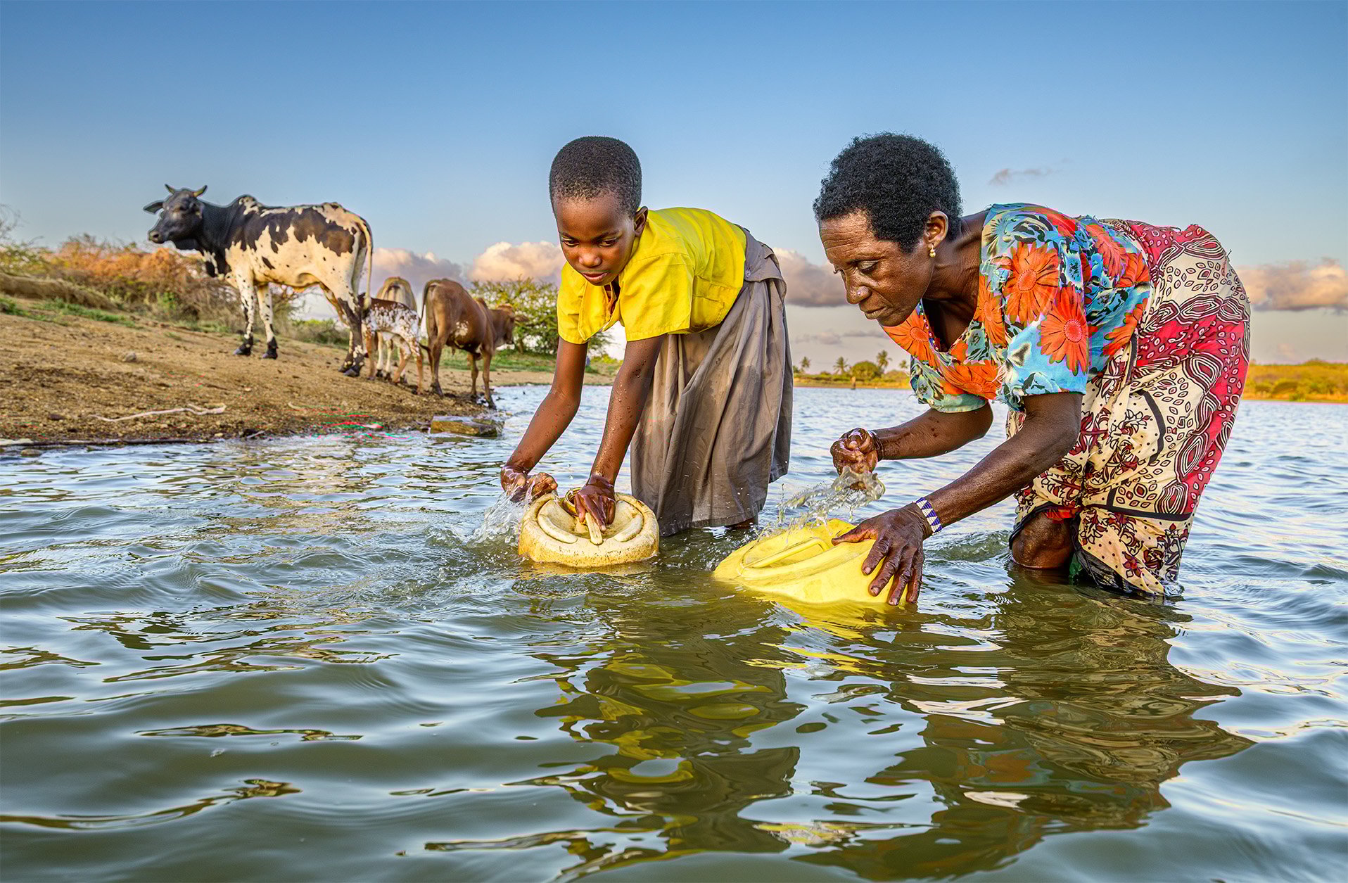 Everlyne and Umazi gather water at a dam shared with animals.
