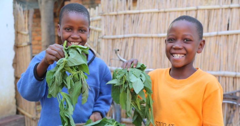 Malawi - 2 kids with greens