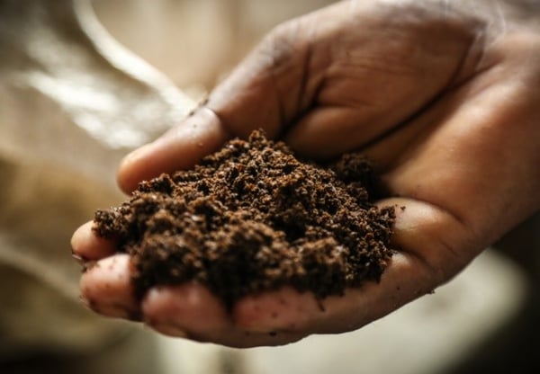 Soil Day