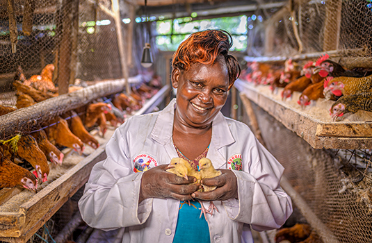 A woman smiles while holding three chicks. She stands in a chicken coop lined with chickens that are eating.