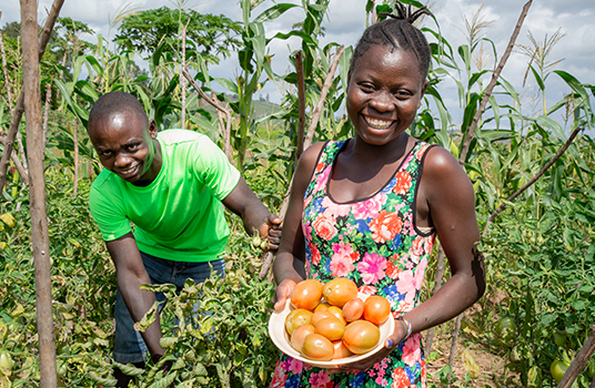 A smiling man and woman stand among tall tomato plants, the woman holding a plate of tomatoes.