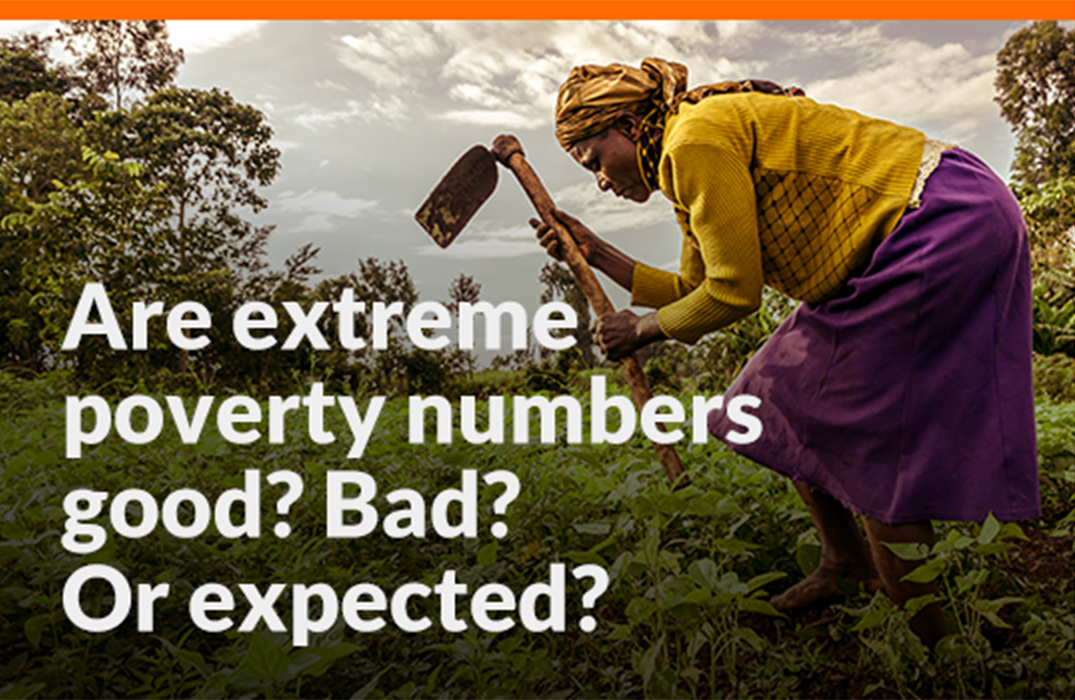 A woman is bent over a green field working with a tool in her hand