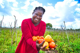 Nema, a member of the Tupendane farming group, holds out her harvest of ripe tomatoes