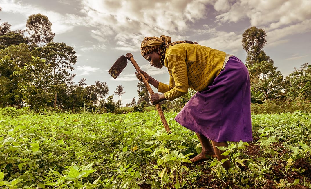 A woman is bent over a green field working with a tool in her hand.