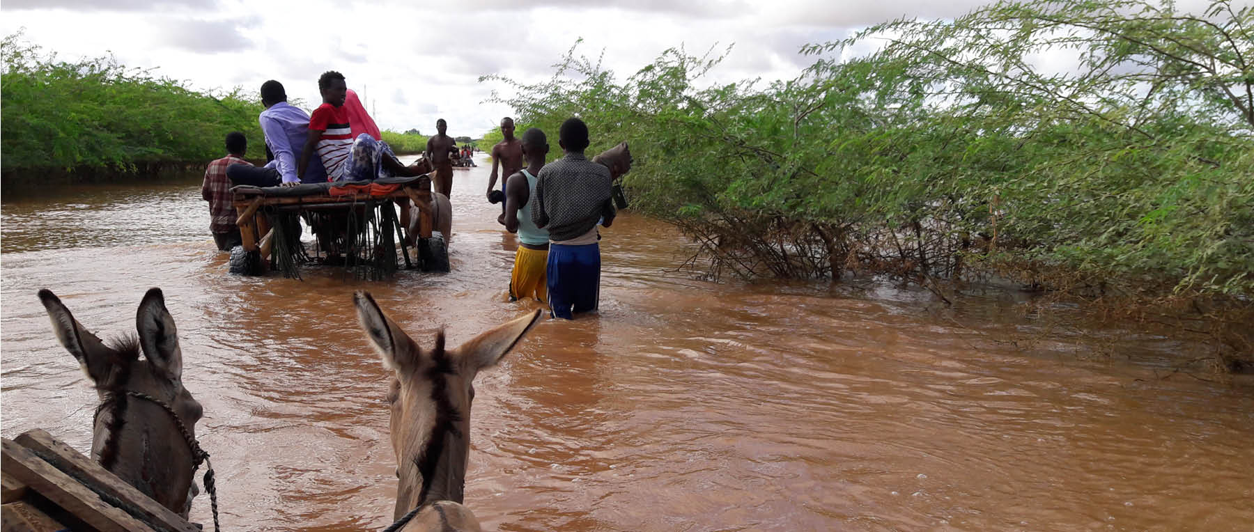 header_ea_flood.jpg